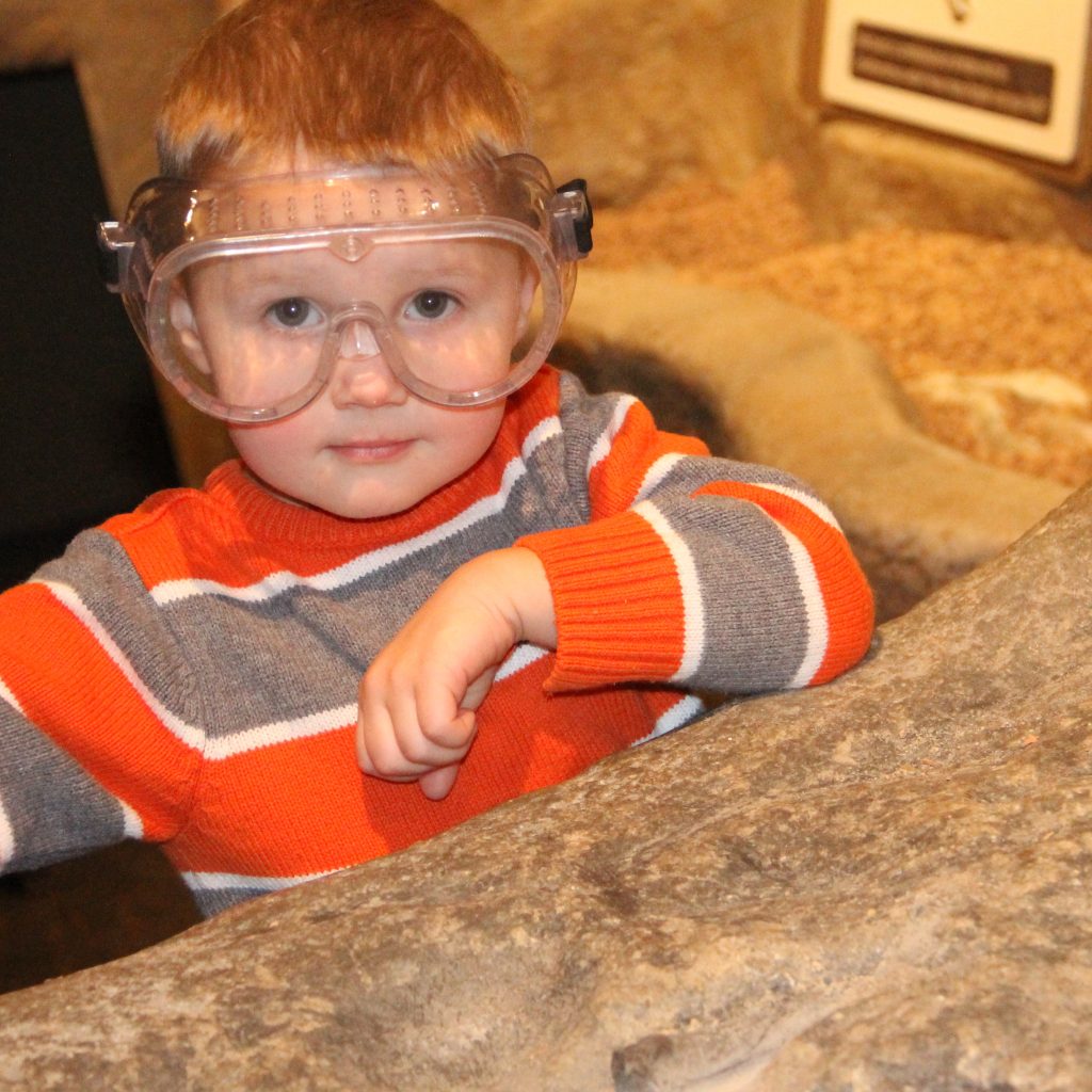 Tyler digging for fossils at the Carnegie Museum of Natural History