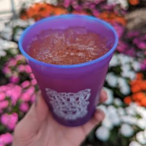 Category 5 Punch from Universal Studios