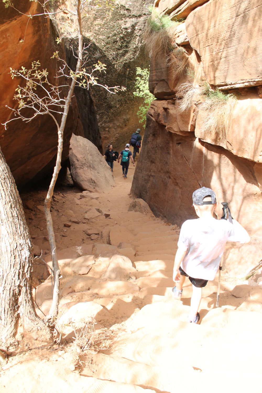 Steps heading to Emerald Pool Trail