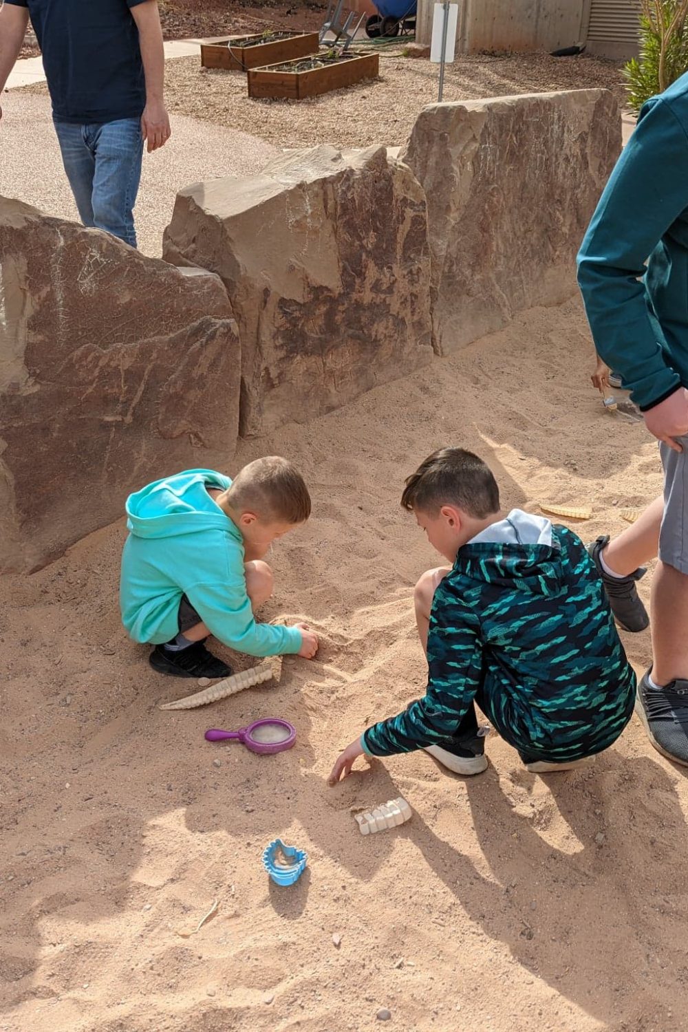 Kids searching for fossils at the St. George Dinosaur Discovery site.
