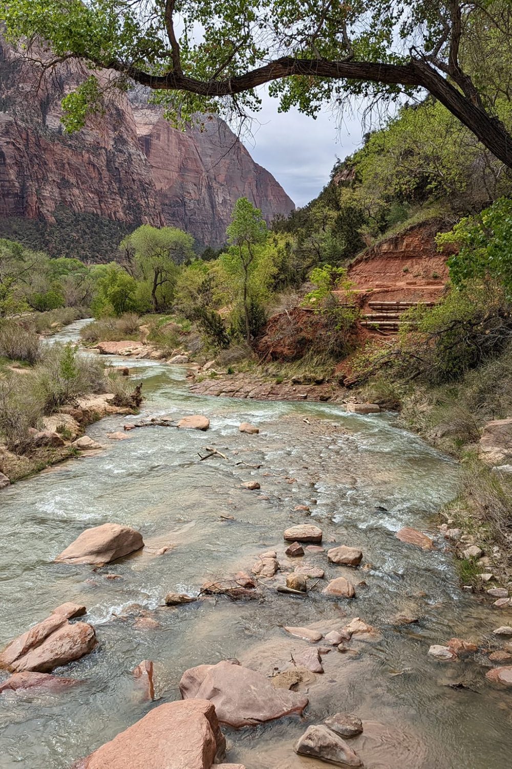 Virgin River from the Kayenta, Emerald Pool loop trail