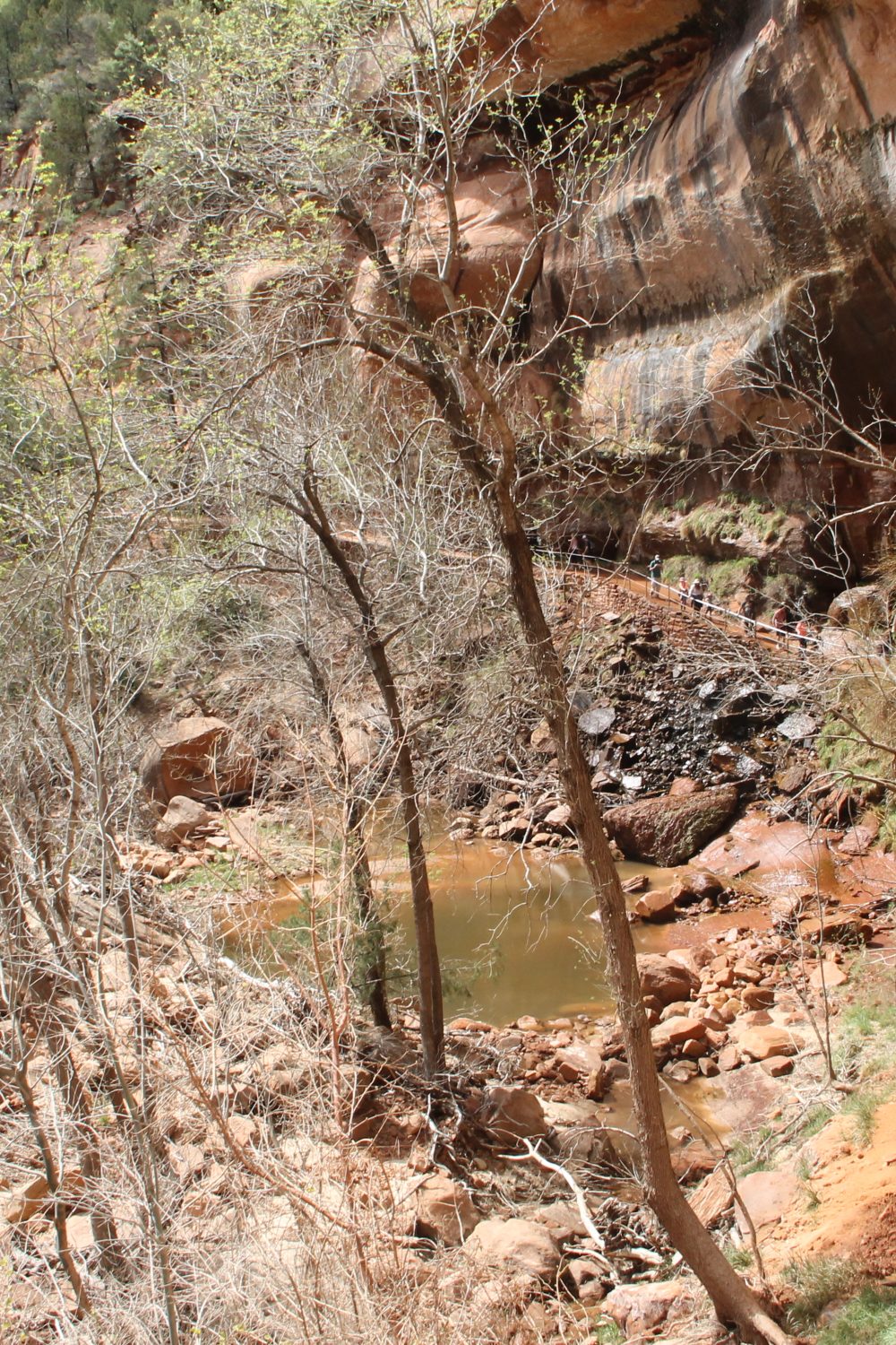 Lower Emerald Pool