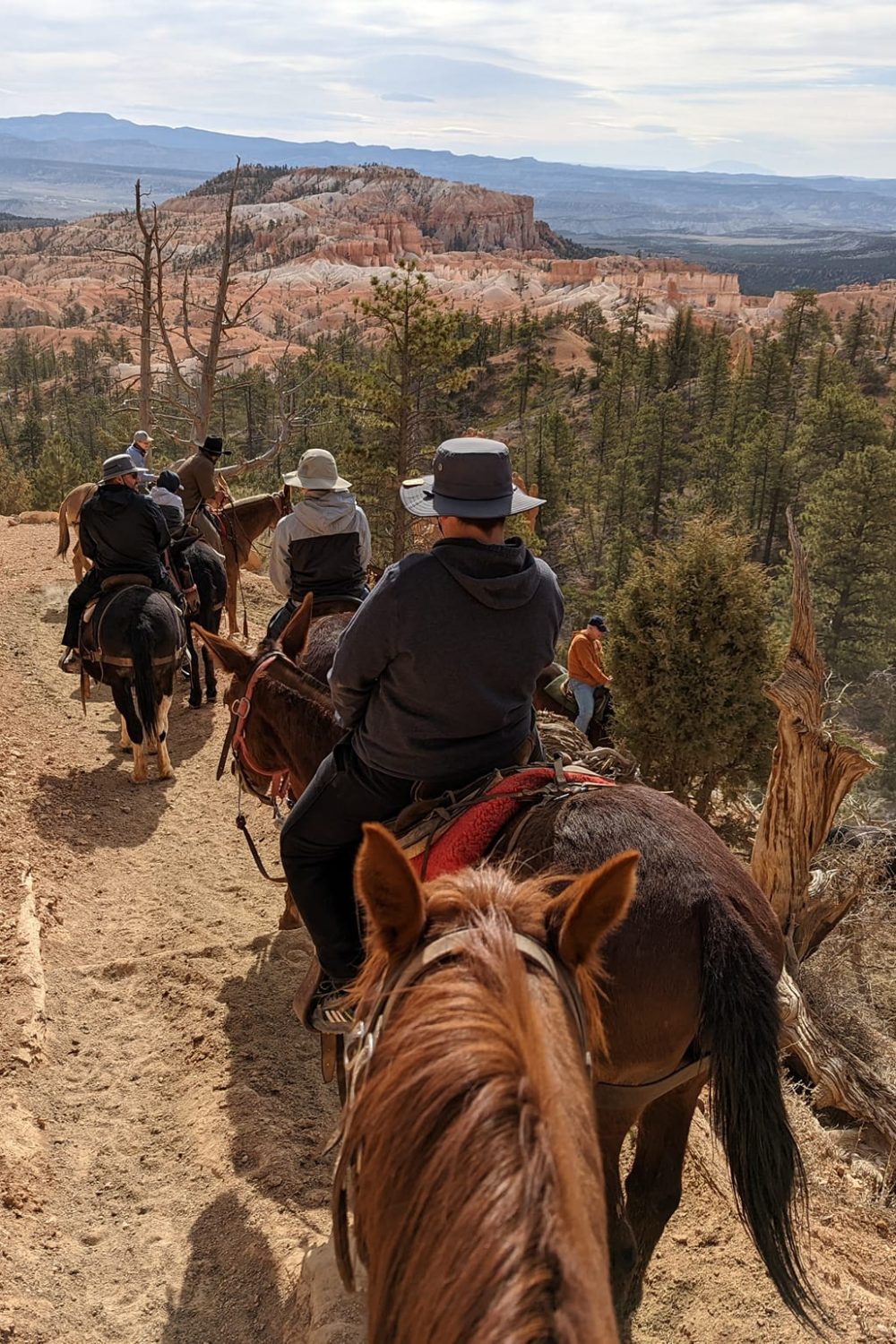 Coming donw Bryce Canyon on our horses