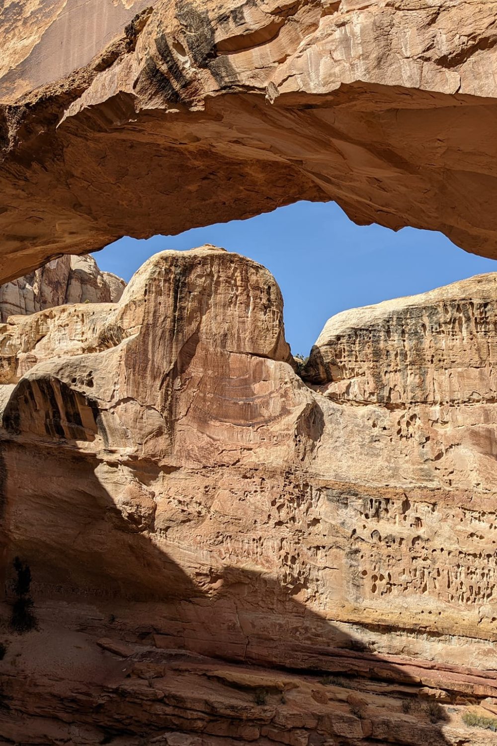 Hickman Bridge in Capitol Reef National Park