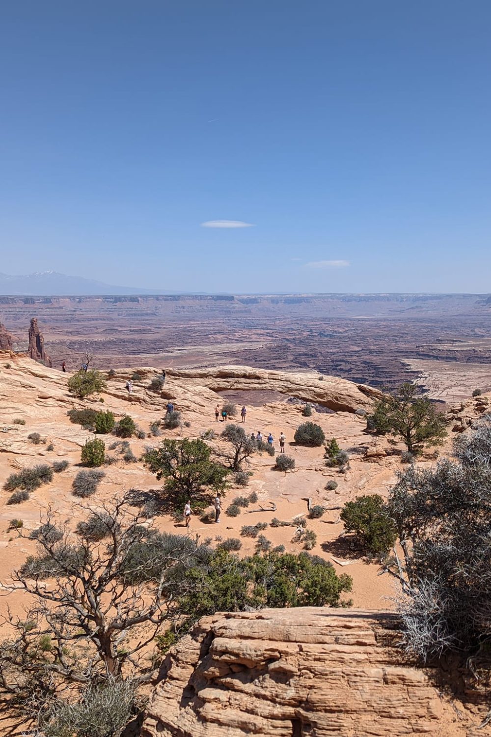 Canyonlands view with the La Sal Mountains in the background