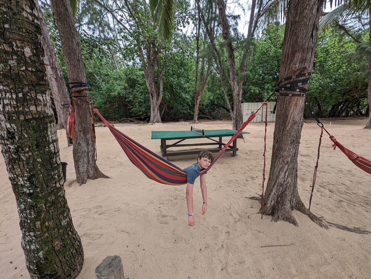 Tyler in a hammock