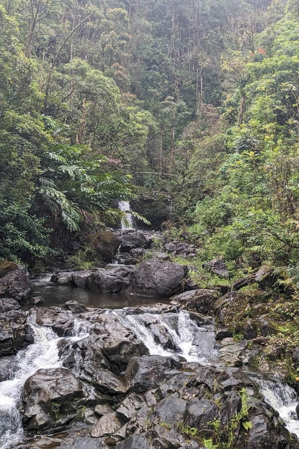 Road to Hana Waterfall