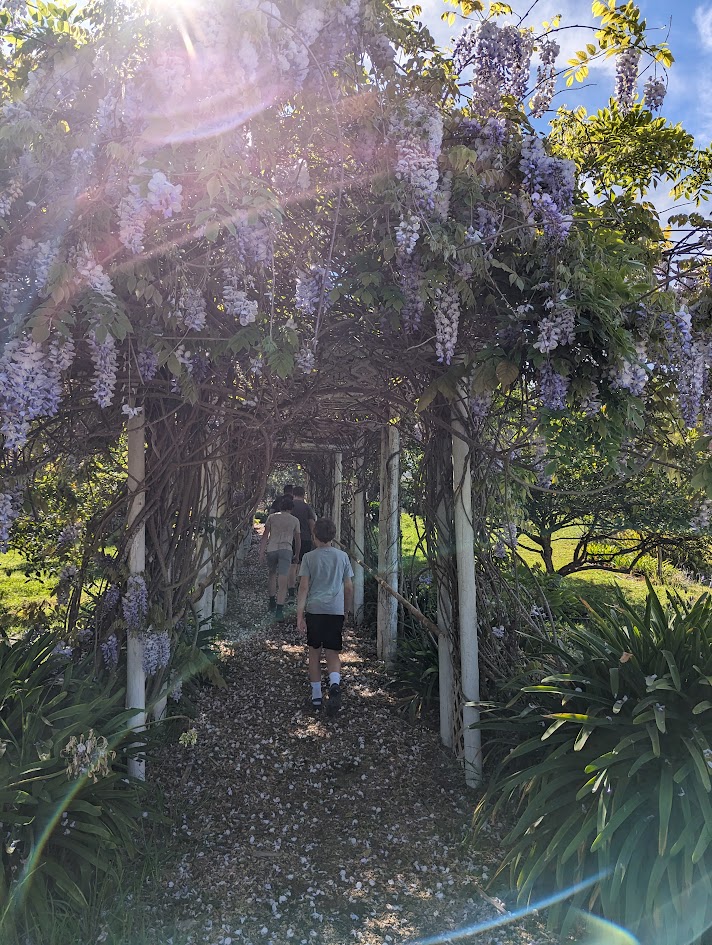 Tea shop in Maui with a cute archway