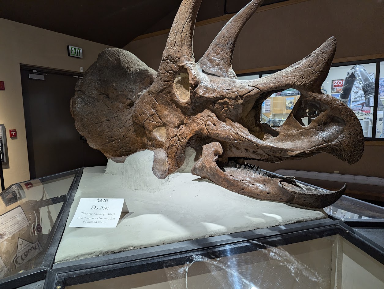 Dinosaur replica at Badlands Dinosaur Museum