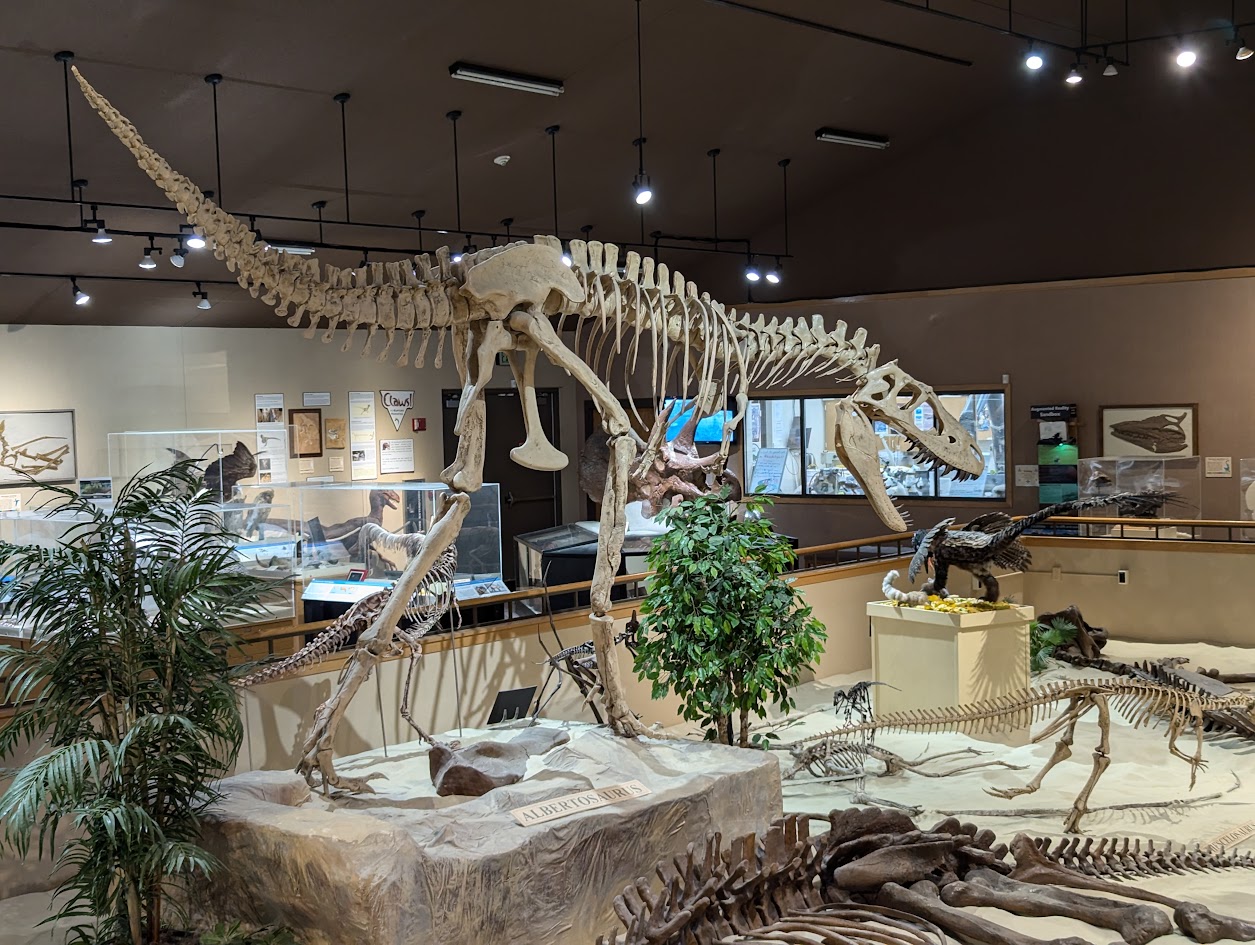 Dinosuar skull at Badlands Dinosaur Museum