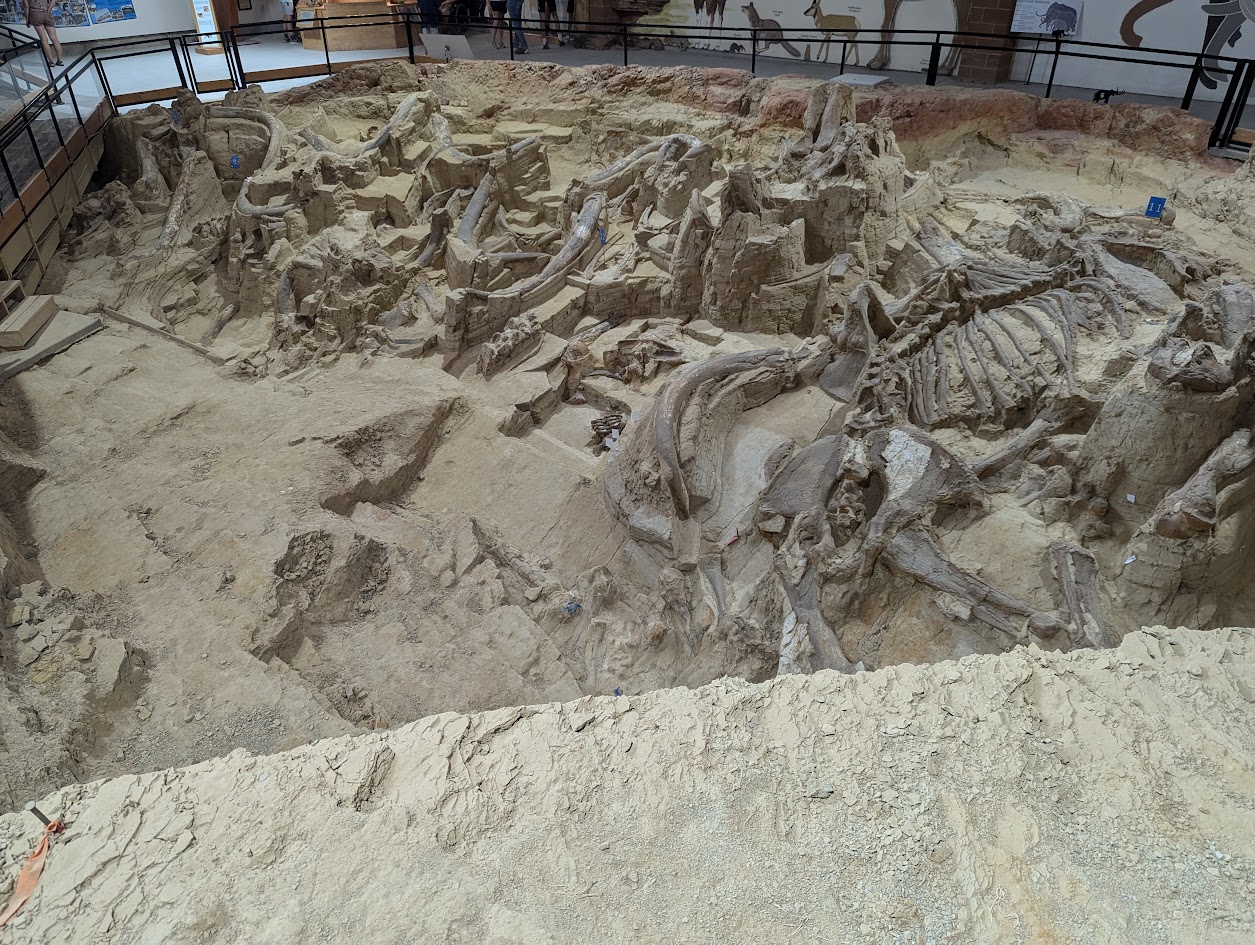 Active dig site at the Mammoth Site in Hot Springs, SD