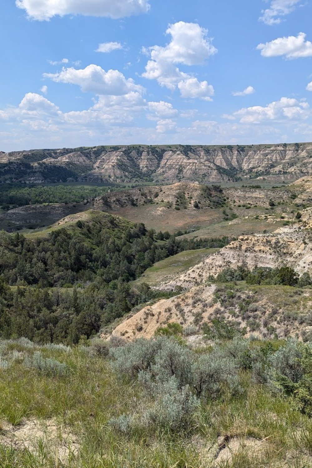 Theodore Roosevelt National Park