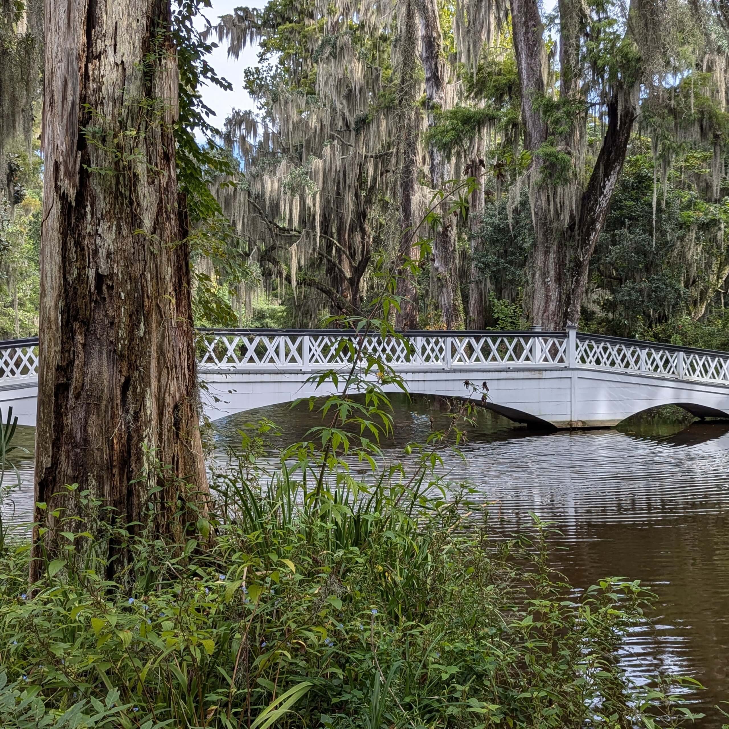 Bridge at Magnolia Plantation