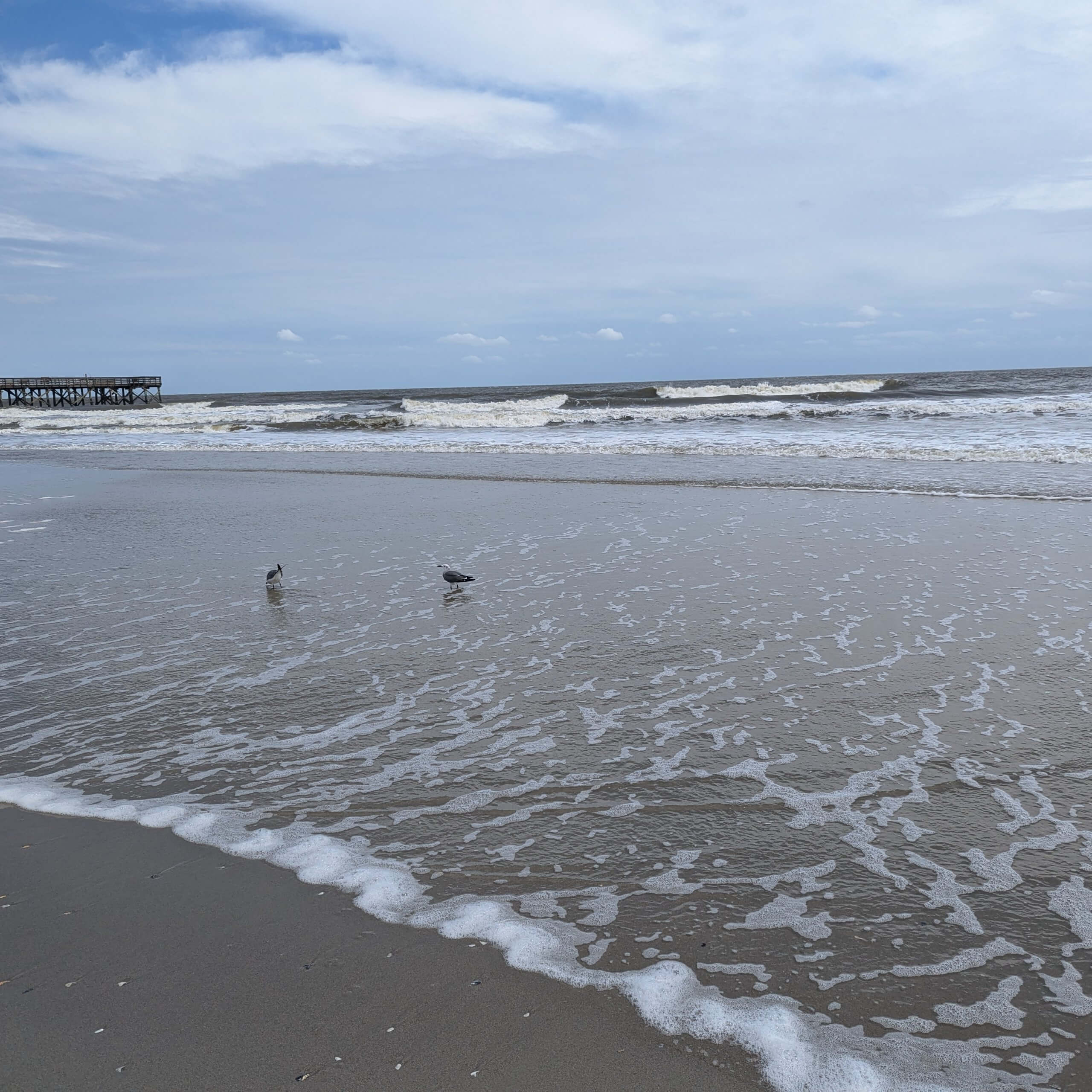 Beach at Isle of Palms in South Carolina