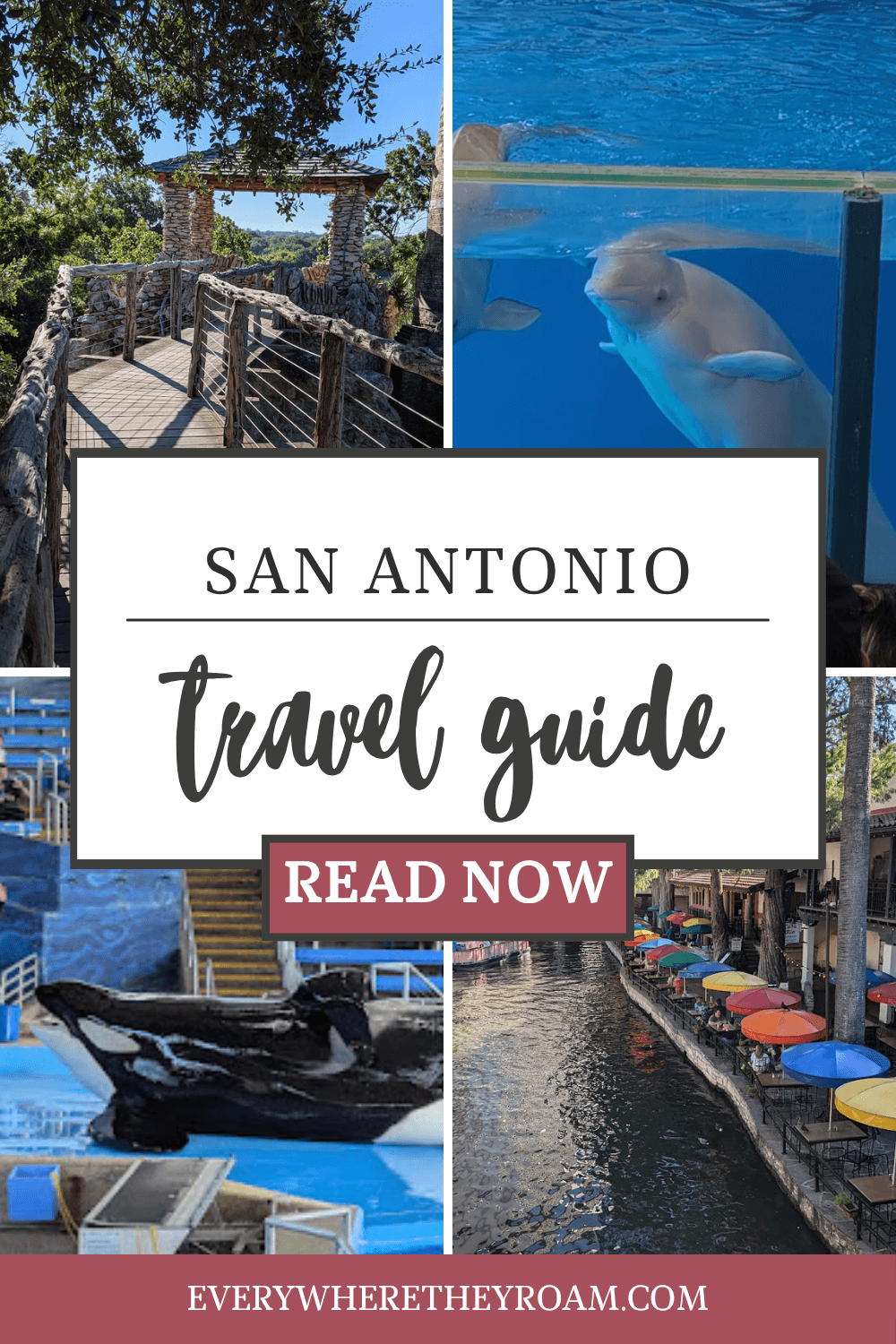 Pinterest image for San Antonio