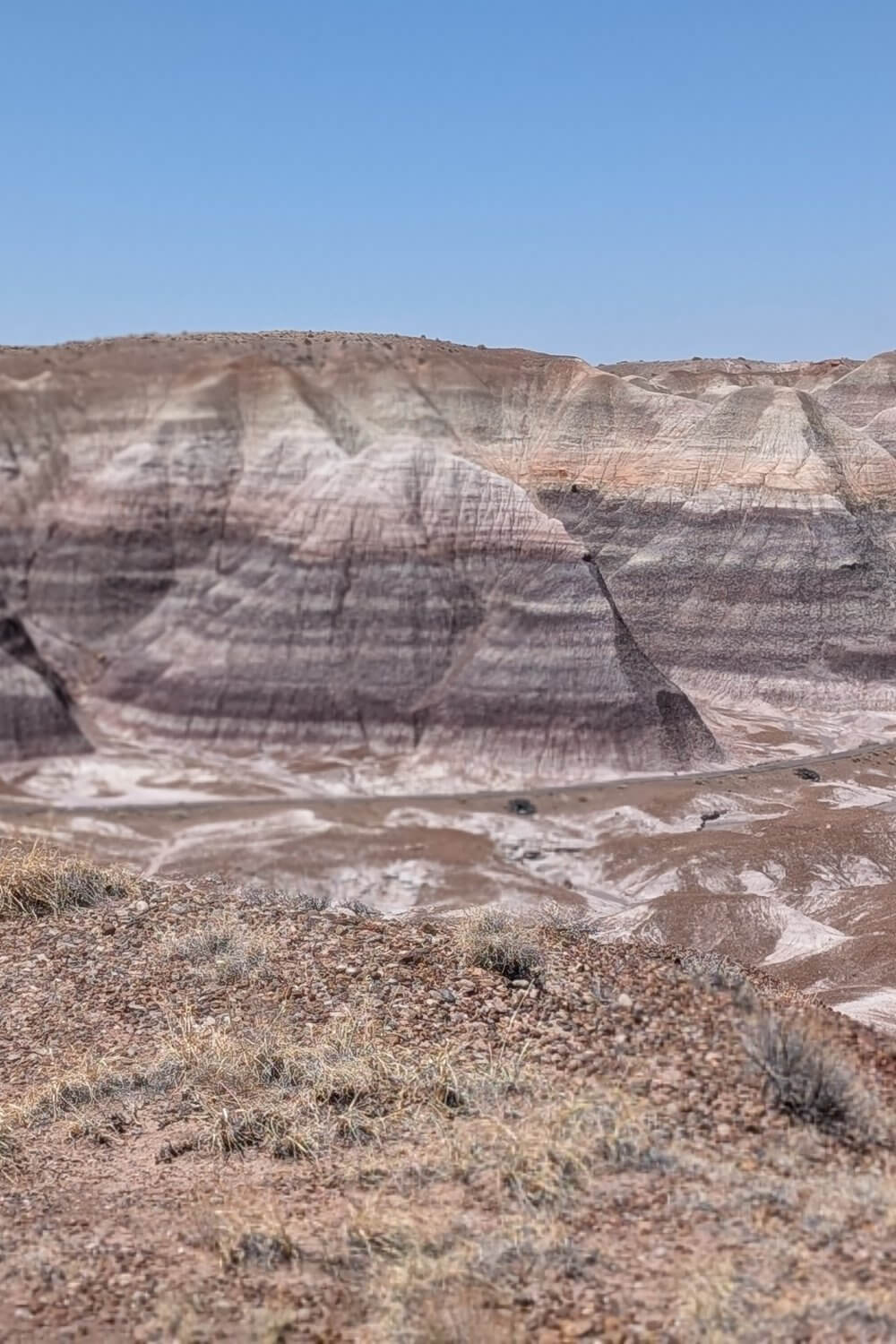 Petrified Forest National Park
