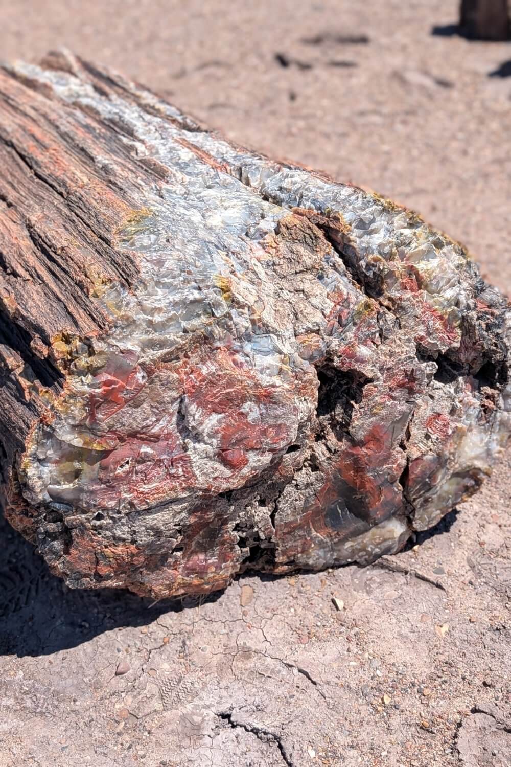 Petrified log at Petrified Forest National Park