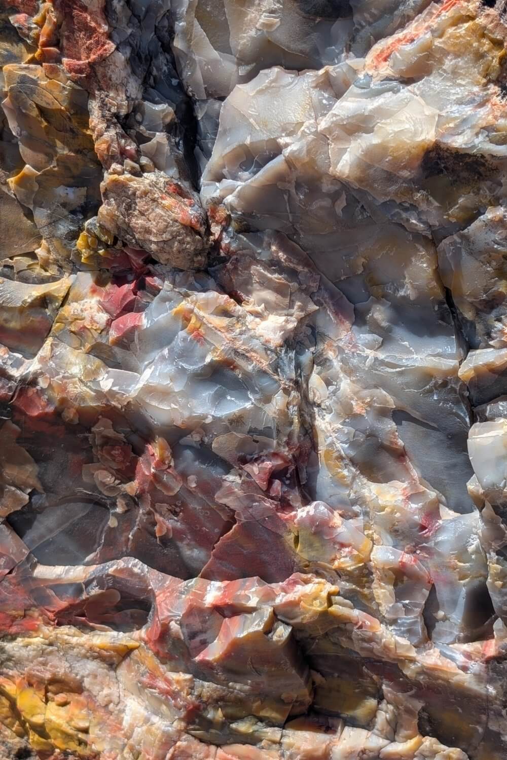 Close up view of petrified wood in Petrified Forest National Park