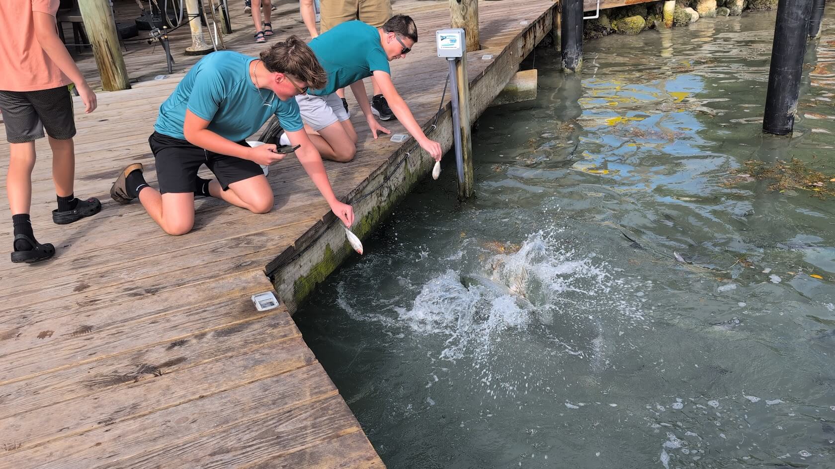 Our kids feeding the tarpon at Robbie's