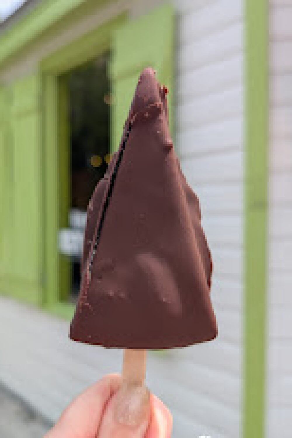 Chocolate dipped Key Lime Pie on a stick from Kermit's