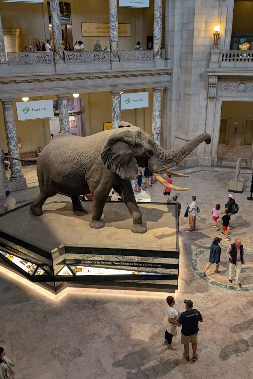 Smithsonian National History Museum