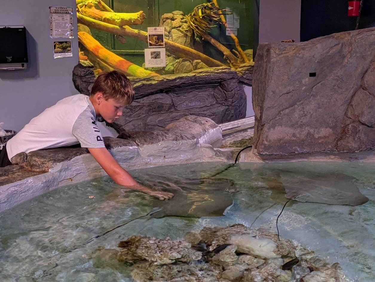 Our son petting stingrays at the Aquarium of Boise